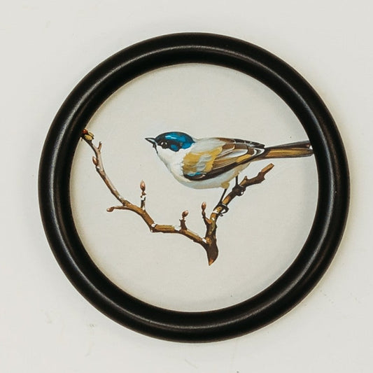 Bird Wall Art - Song Bird Blue/Yellow