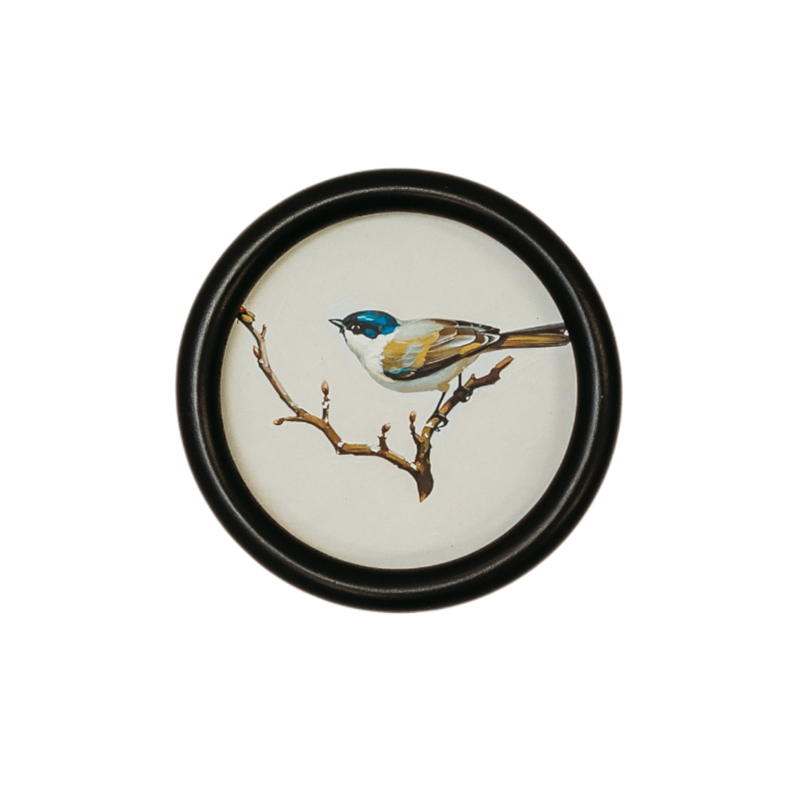WA115 Bird Wall Art - Song Bird Blue/Yellow 5.75" x .75" x 5.75" PK 6