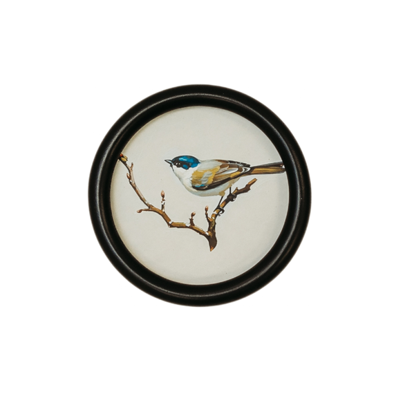 WA115 Bird Wall Art - Song Bird Blue/Yellow 5.75" x .75" x 5.75" PK 6