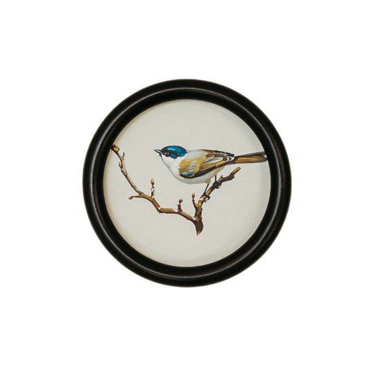 WA115 Bird Wall Art - Song Bird Blue/Yellow 5.75" x .75" x 5.75" PK 6