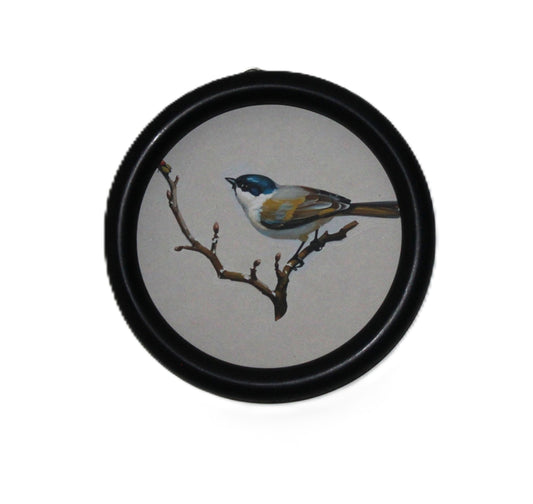 WA115 Bird Wall Art - Song Bird Blue/Yellow 5.75" x .75" x 5.75"