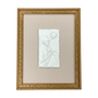 WA120 Botanical Wall Art - (Set of 3) 10.5" x .75" x 13.25" PK 2
