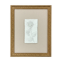 WA120 Botanical Wall Art - (Set of 3) 10.5" x .75" x 13.25" PK 2