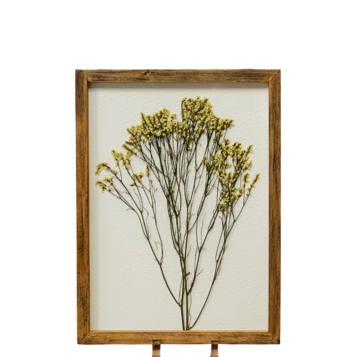 WA122 Botanical Wall Art - Pressed Flowers 11.25" x 1" x 15.25" PK 2