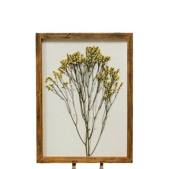 WA122 Botanical Wall Art - Pressed Flowers 11.25" x 1" x 15.25" PK 2