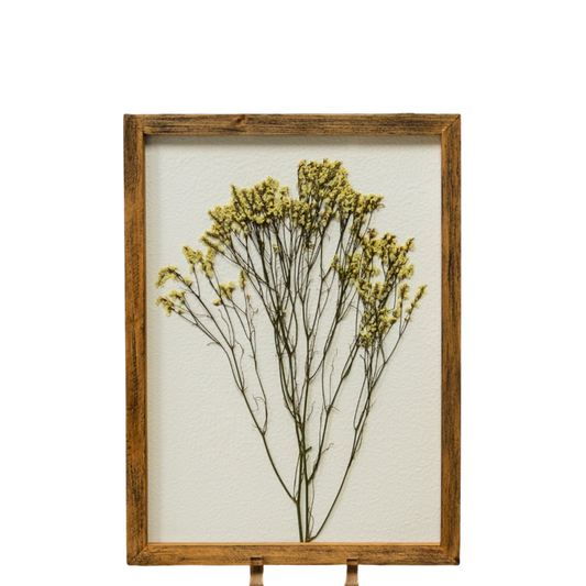 WA122 Botanical Wall Art - Pressed Flowers 11" x 1" x 15" PK 2